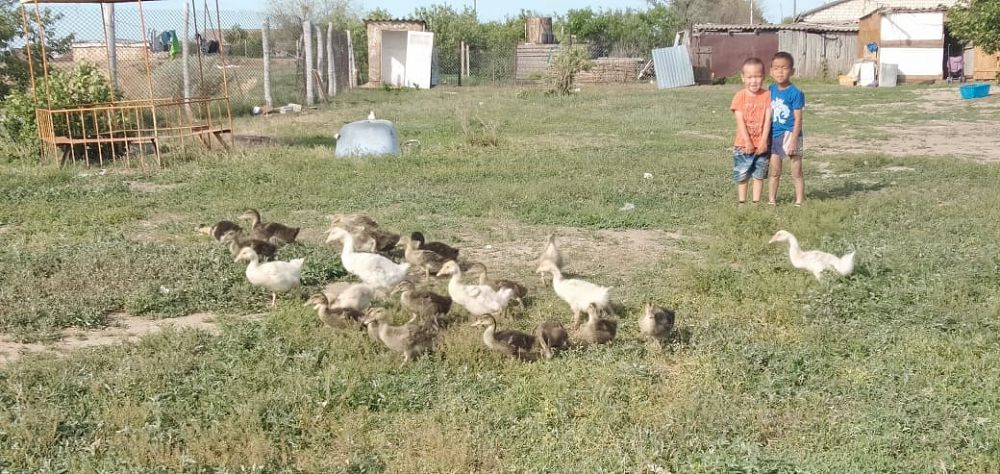 Теректінің елі епті