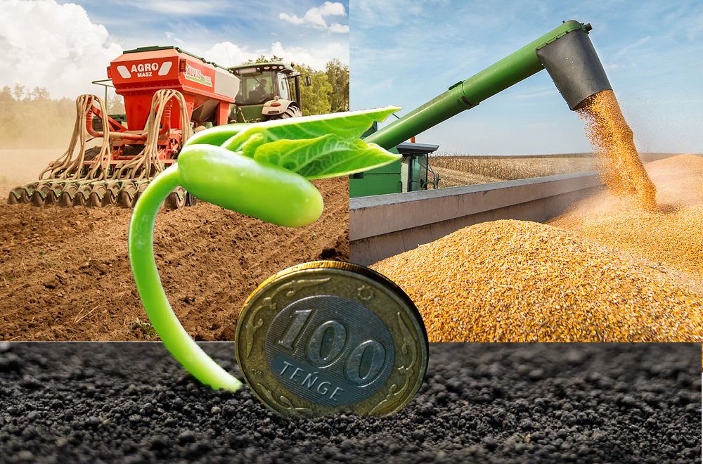 Мемлекеттік қолдауды тиімді пайдаланайық