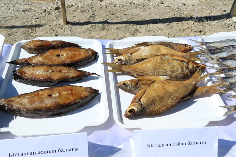 Қызылорда облысында балық өнімдерінің экспорт көлемі 9 есеге артты