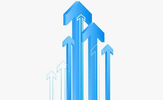 Негізгі бағыттар айқындалды
