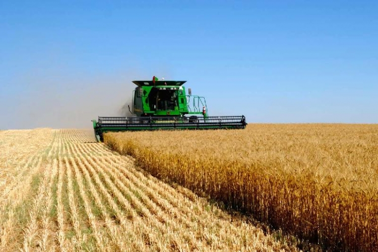 Солтүстік Қазақстан-Қытай арасындағы бірлескен жоба