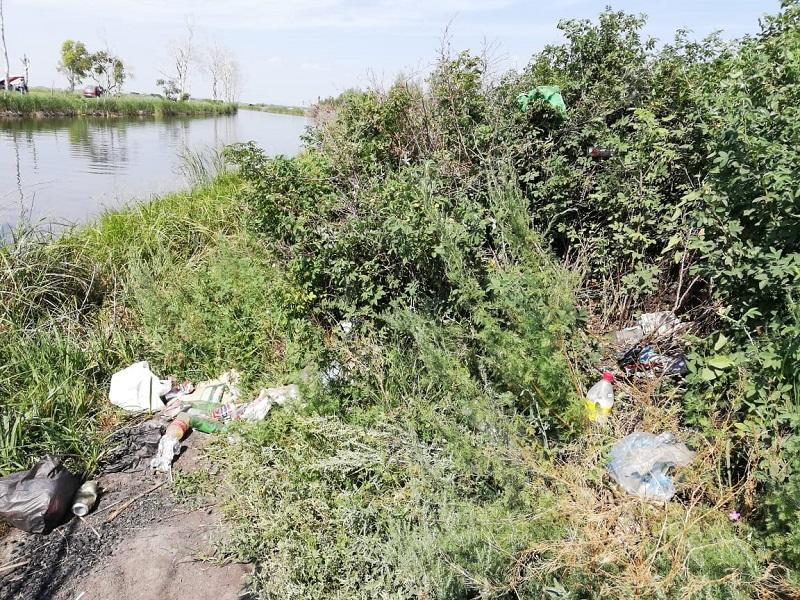 Алтай Көлгінов Есіл және Қарасу өзендерінің жағалауын тазартуды ұсынды