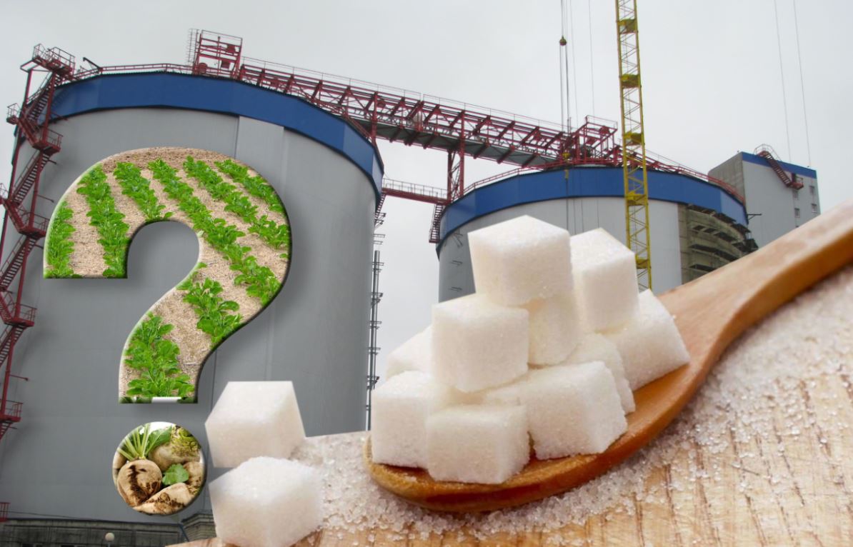 Қант зауытына қызылшаны қайдан алмақ?