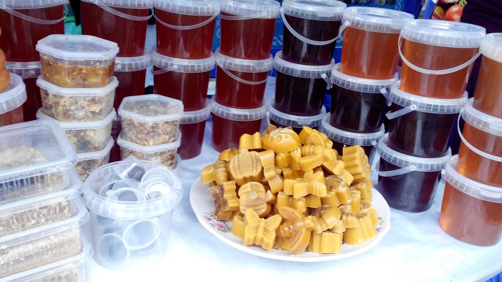 Жастарға жігер берген «Жас кәсіпкер» жобасының шарапаты мол