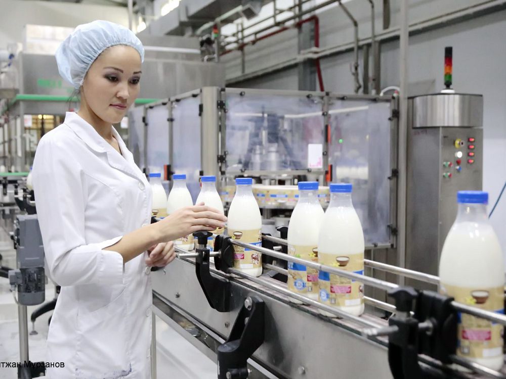 Шикі сүттің сапасы – ұлт денсаулығын қамтамасыз ететін бірден-бір фактор