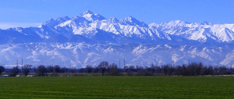 Қызғылт сары түс