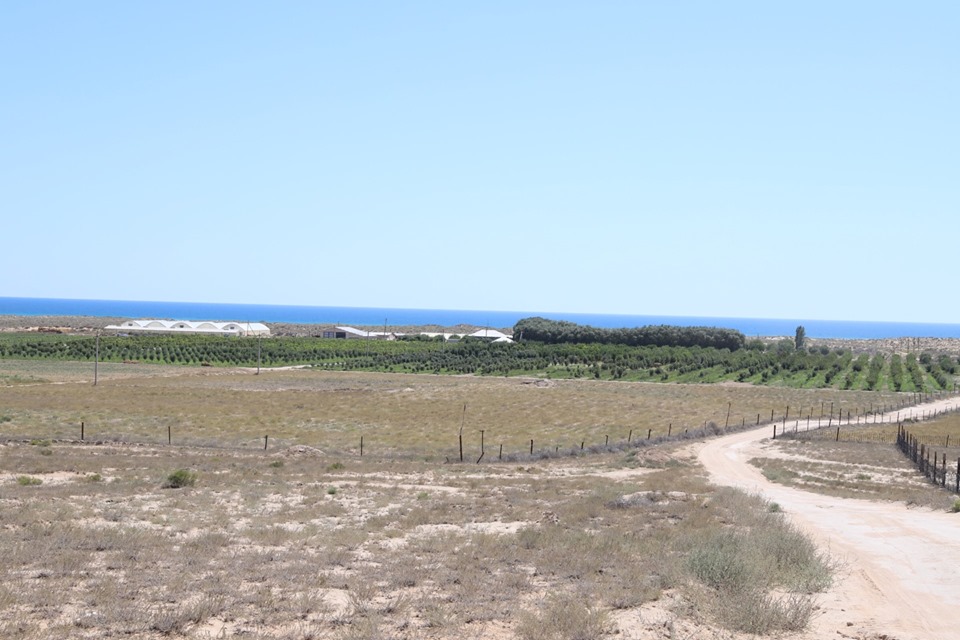 Маңғыстауда аймақ басшысы ауыл шаруашылығы нысандарын аралады