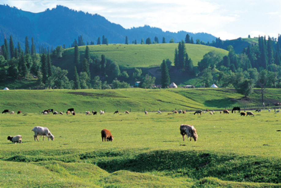 Жайылымдық жерлердің жайы алаңдатады