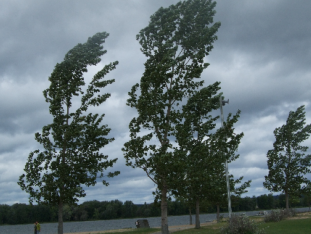 Еліміздің бірнеше өңірінде қатты жел тұрады