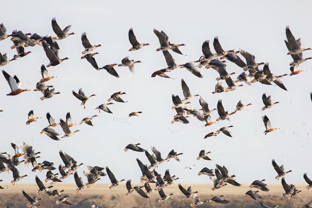 Қорықшылардың құқығы қорғалса игі