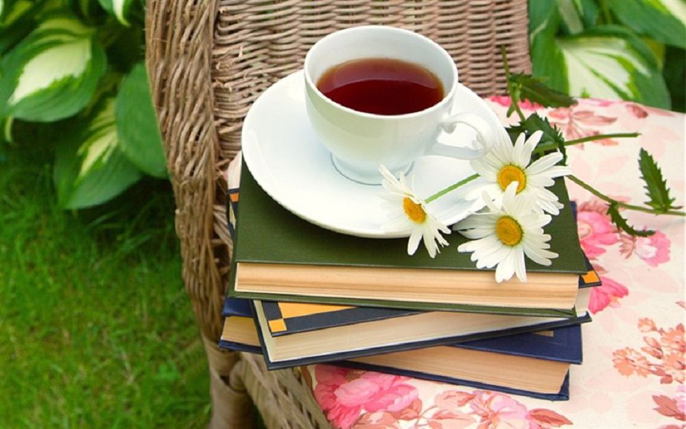 Ерлер еңсеретін тақырыпты әйел жазушы романға арқау етті