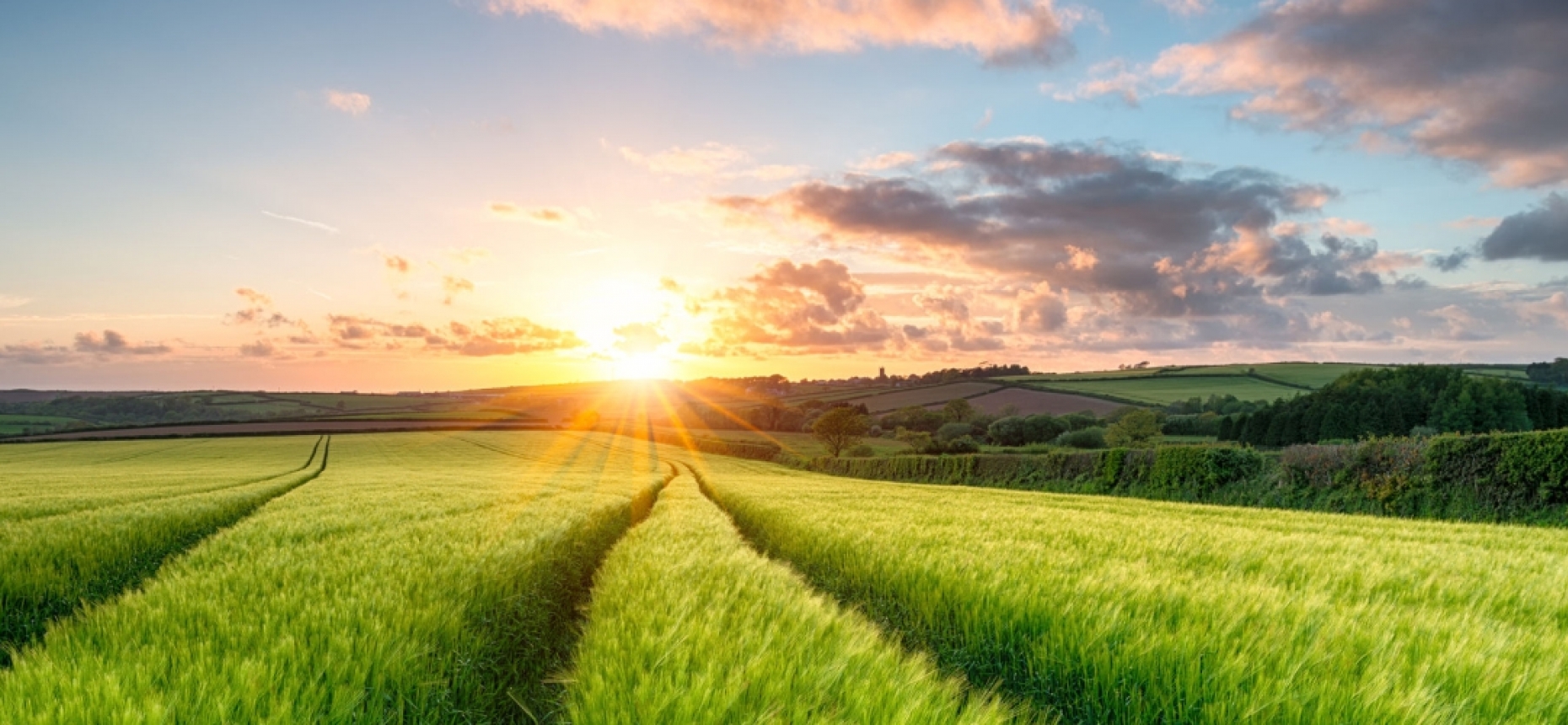 Дұрыс міндеттер қойылды