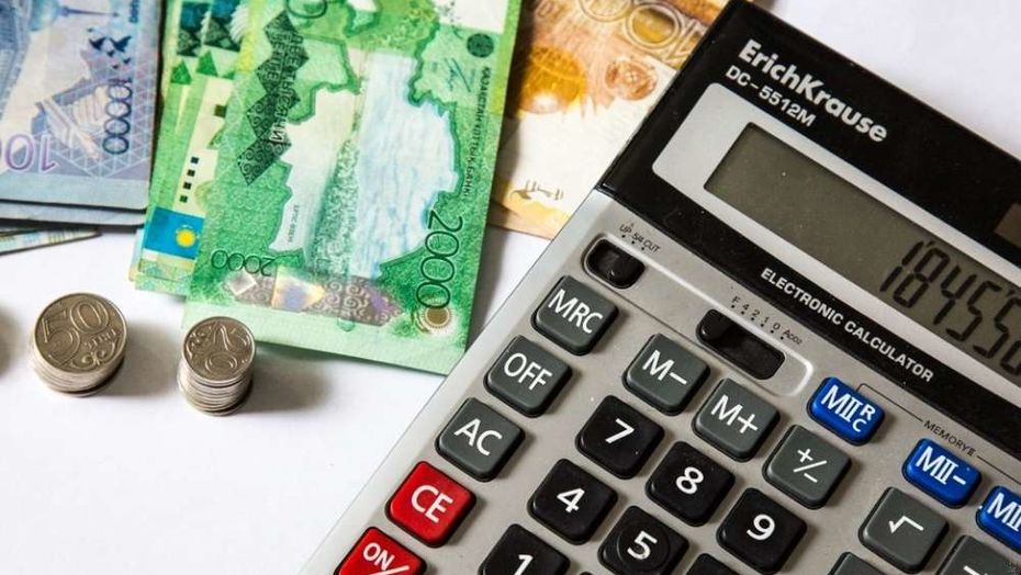 Шымкент тұрғыны салыққа 7,5 млн теңге берешек