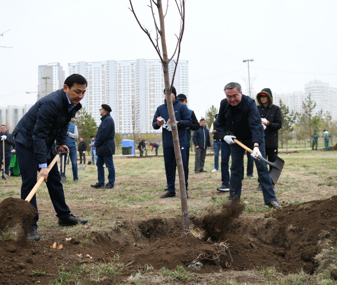 Қазақстандық және шетелдік дипломаттар ағаш отырғызу ауқымды акциясына қатысты