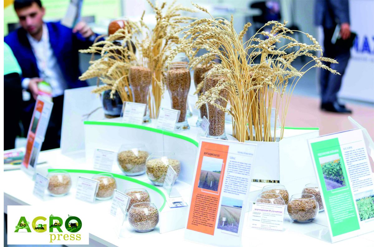 Нұр-Сұлтанда «KazAgro 2019» халықаралық көрмелері өтуде