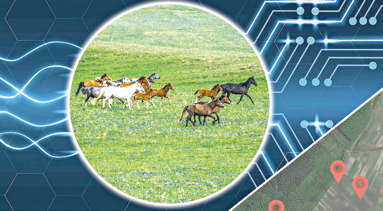 Дамуды ойлағандар цифрландыруға бет бұрады