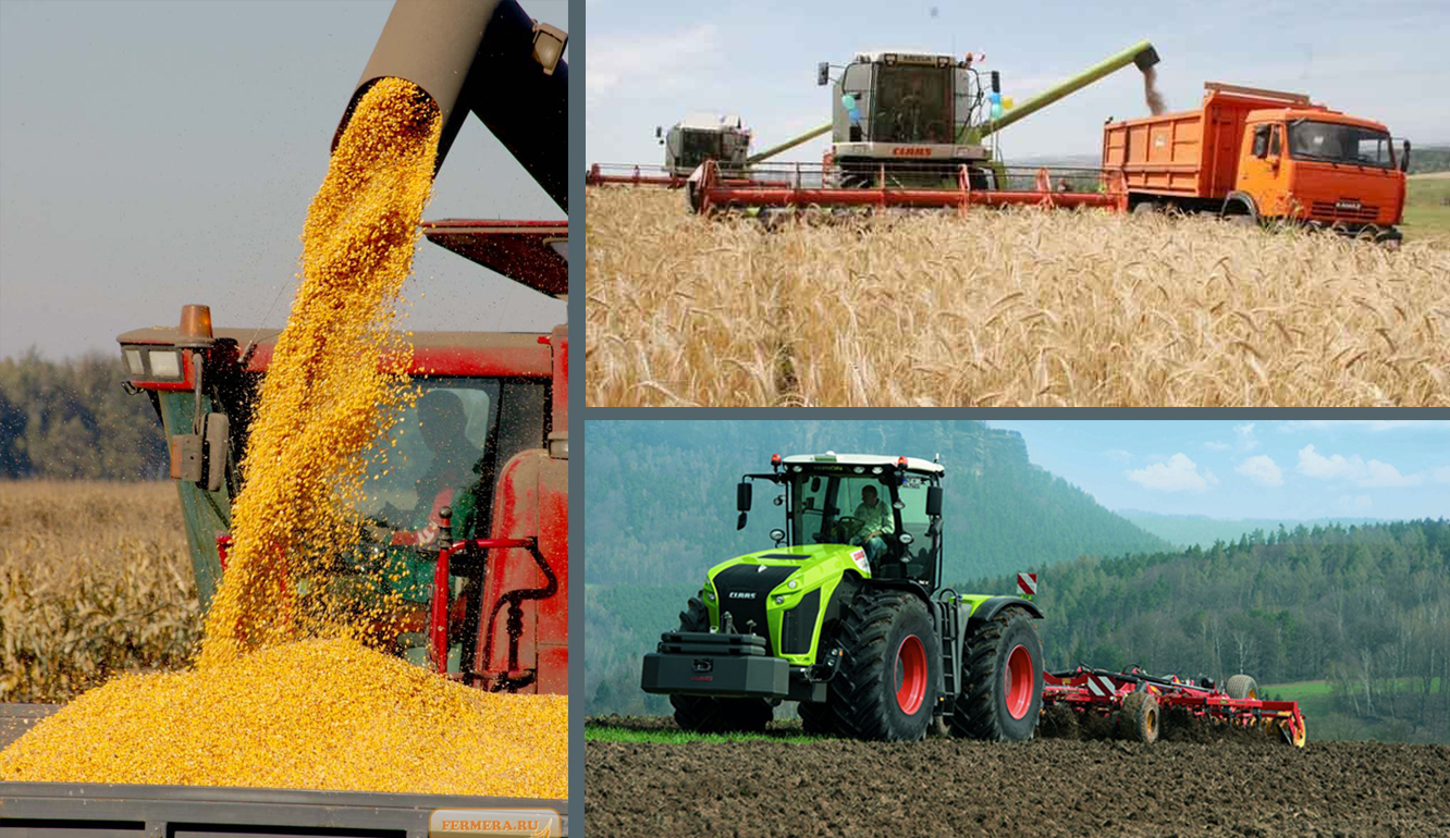 «Жеті мың гектар жерге егін ектім...»