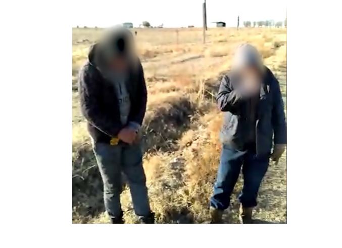 Жамбылдық полицейлер бірқатар кемшілікті анықтады