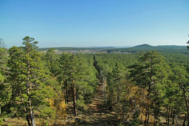 Көкшенің көркі көзқұртына айналды