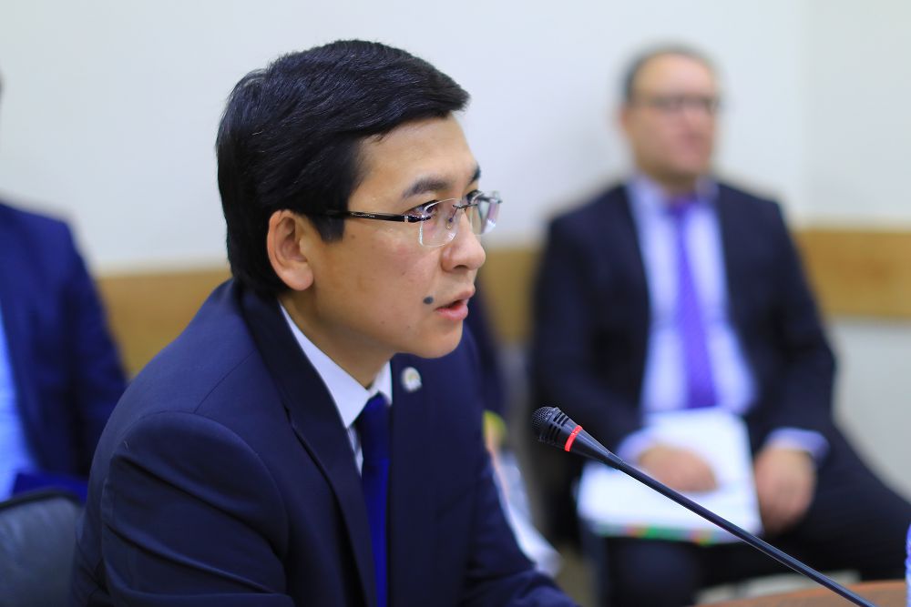 Сенатта педагог мәртебесі, оқушылар мен мұғалімдердің жүктеме мәселелері қаралды