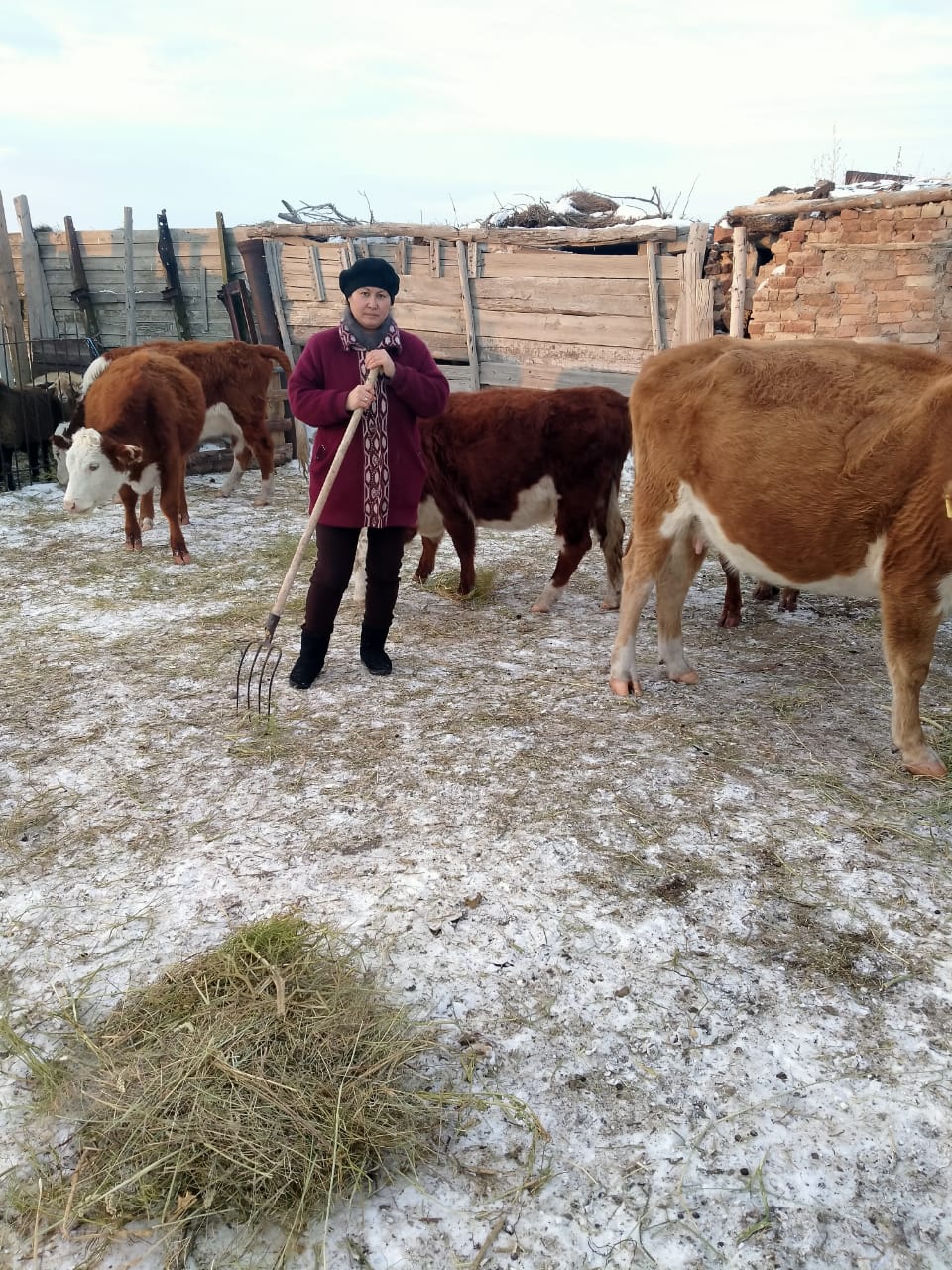 Аягөзде 175 адам тегін грантқа ие болды