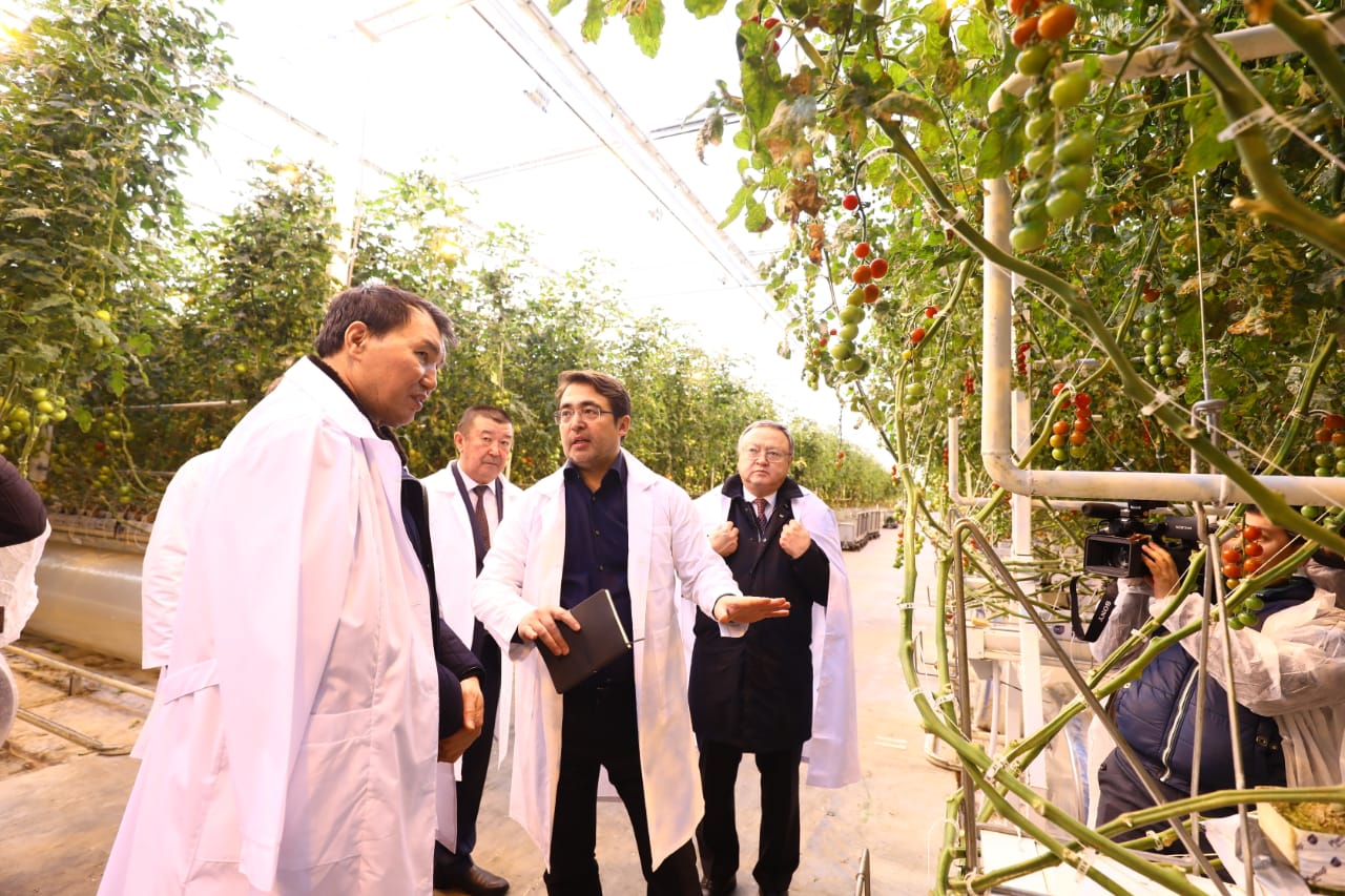 Алик Шпекбаев пен Оңдасын Оразалин «Green Capital Kazakhstan» жылыжай кешеніне барды