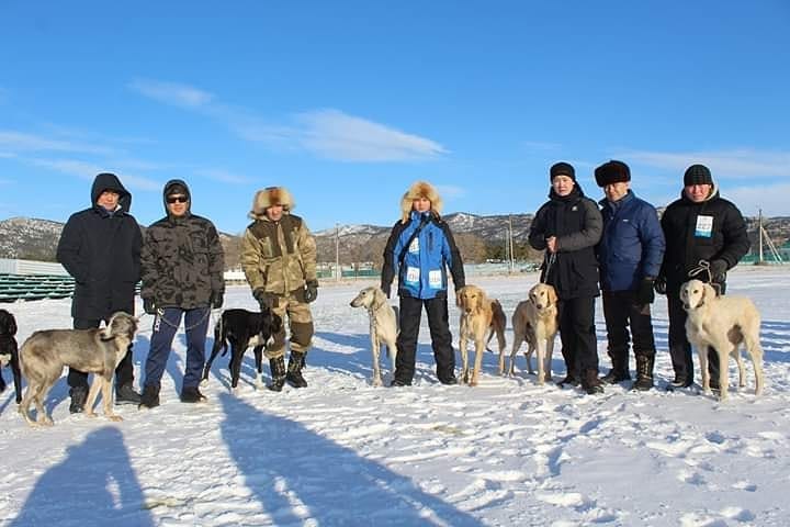 Баянауылда құмай тазылар көрмесі өтті