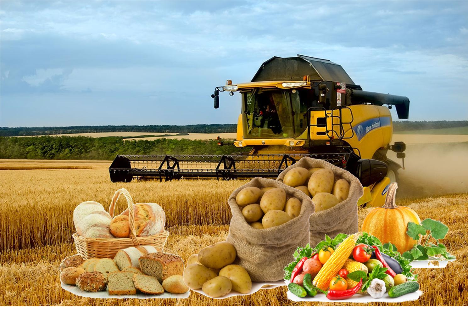 Ауыл шаруашылығы өнімдеріне сұраныс көбейіп келеді