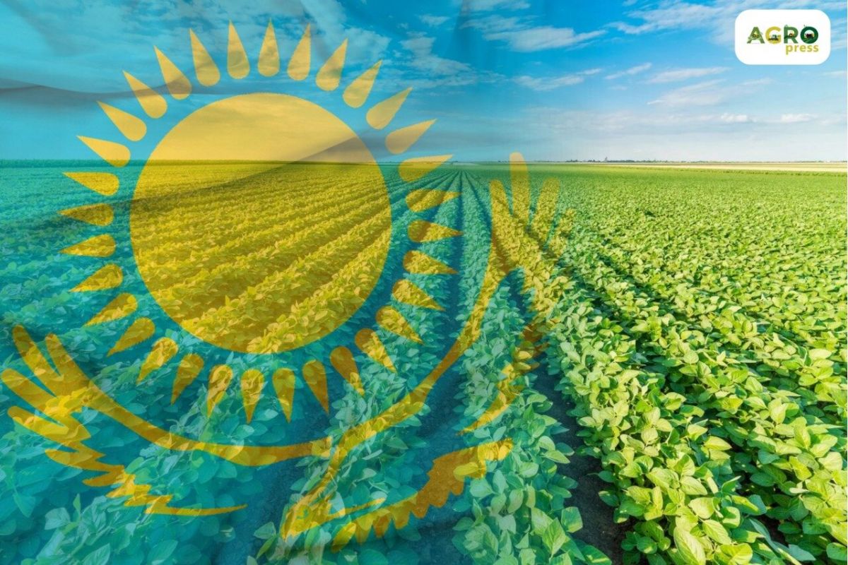 Қазақстанда 5 трлн теңгеге жуық ауыл шаруашылығы өнімдері өндірілген