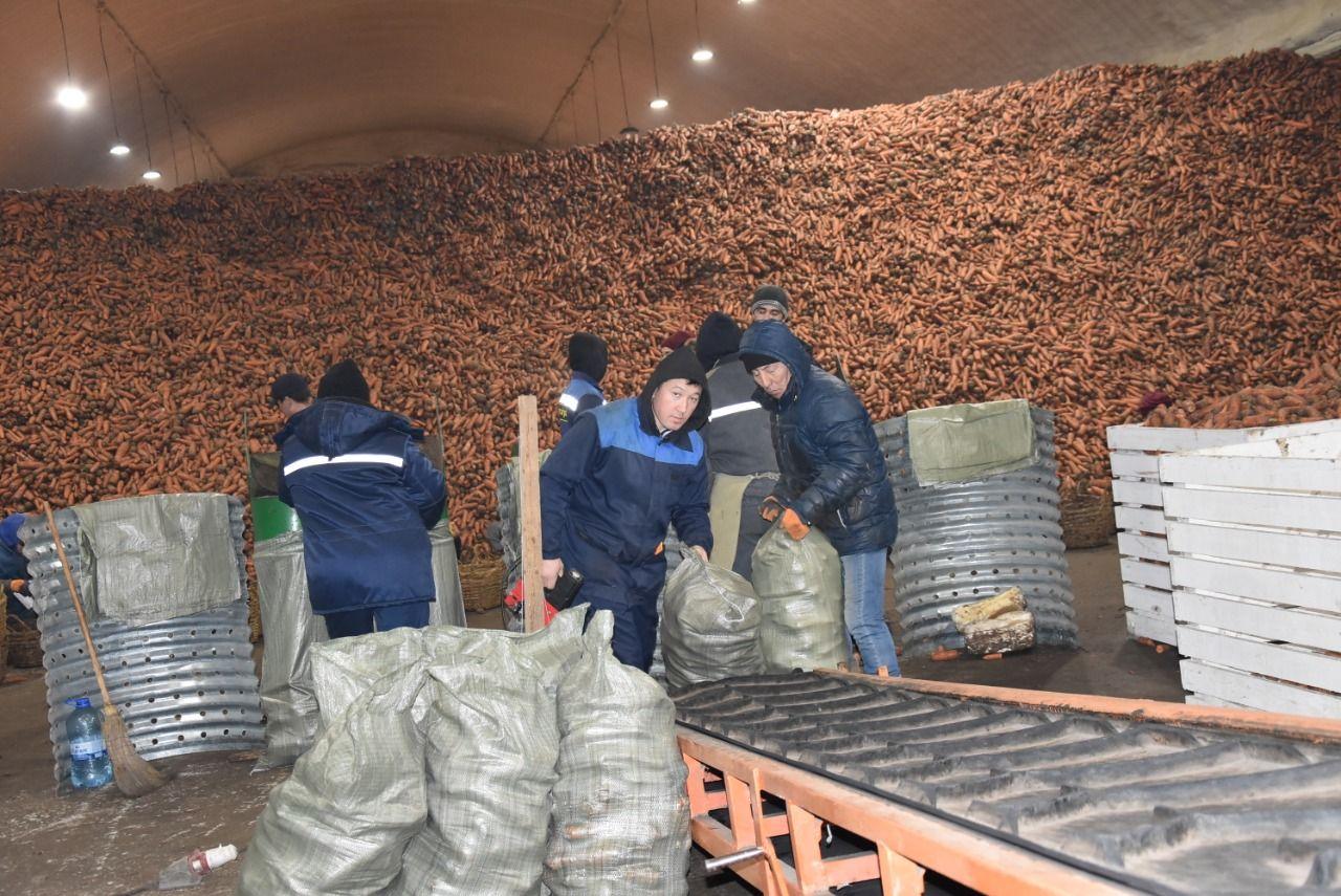 Сенаторлар Ақтоғай ауданындағы өндіріс нысандарын аралады