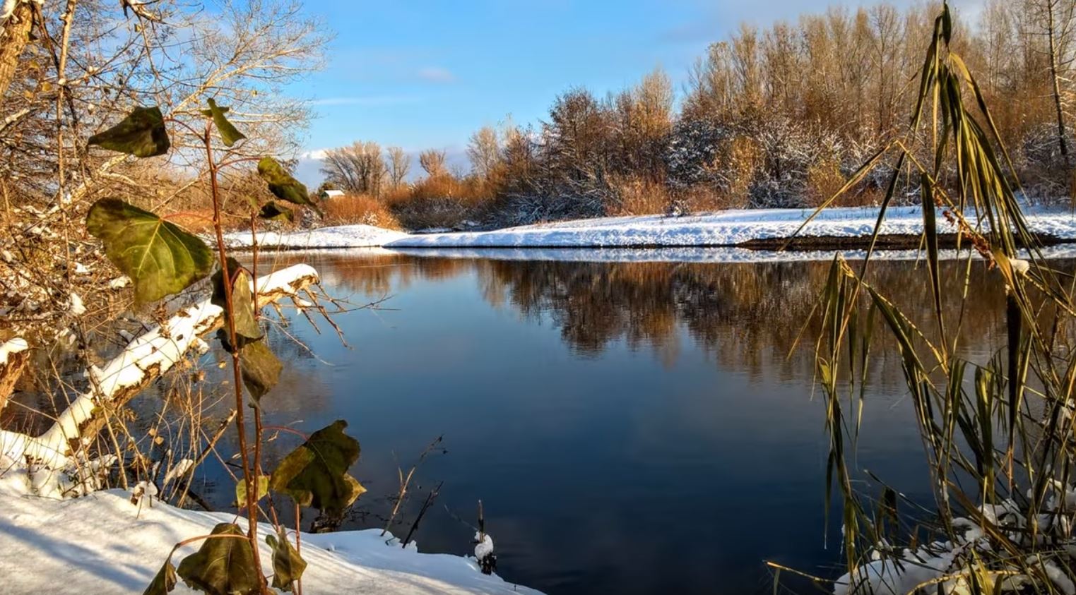 Електің соры – алты валентті хром