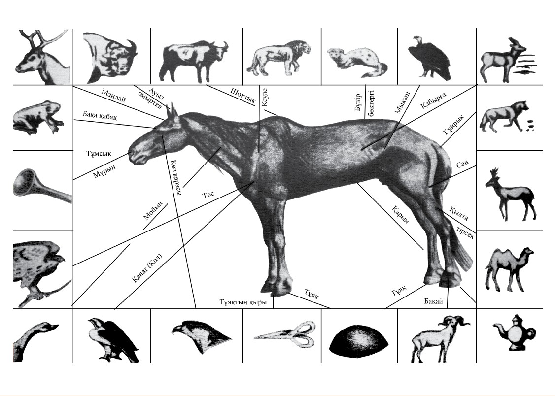 Қазақтың жылқытану өнері