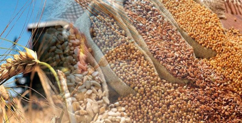 2020 жылға арналған егістік тұқымы жеткілікті ме?