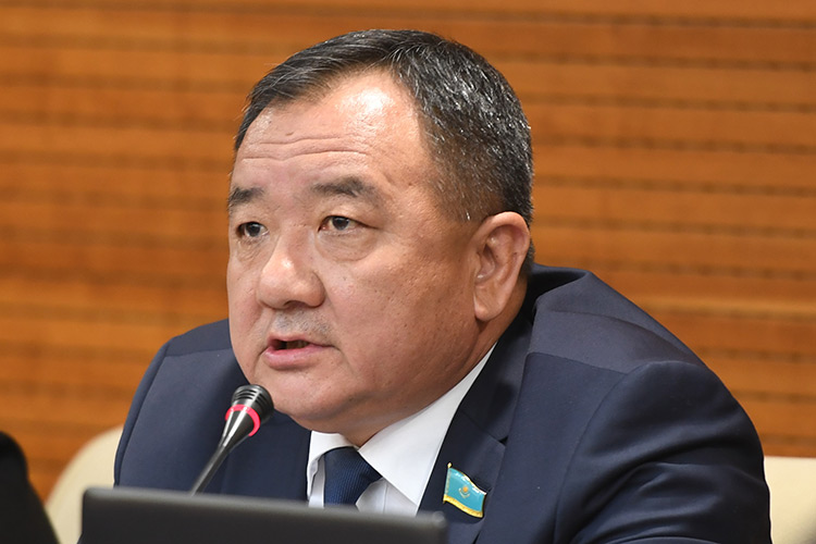 Жағдай тез арада түзеліп, ел бірлігі нығая түседі деп сенемін