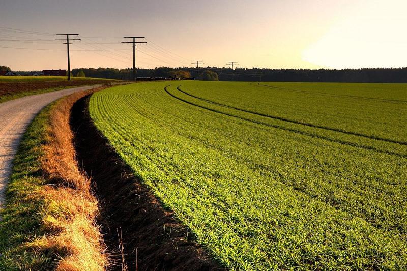 Жамбыл облысында 25 мың гектар егістік жер игерусіз қалған