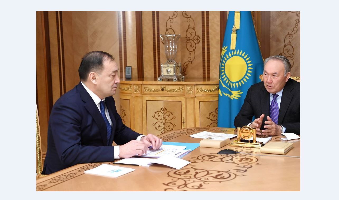 Елбасы Премьер-Министрдің орынбасары Ералы Тоғжановпен кездесті