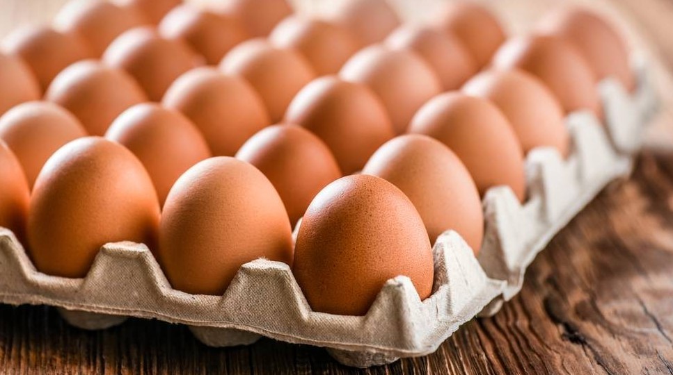 Жұмыртқа неге қымбаттайды?