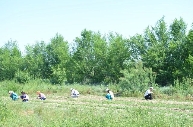 Жамбыл облысы: 34 тәртіп бұзушылық анықталған