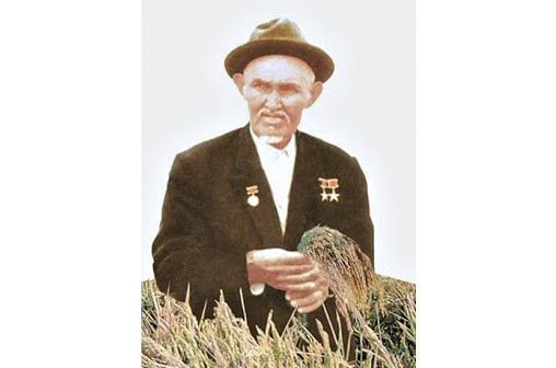 «Социалистік Қазақстан» газеті: Ақ күріштің атасы