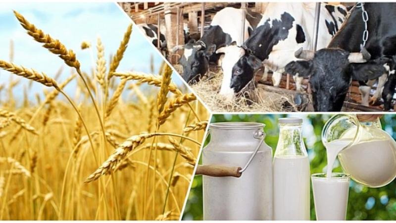 Агроөнеркəсіптік кешен жəне тамақ өнеркəсібіне басымдық беріледі