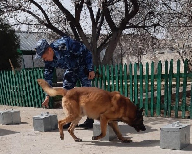 Маңғыстауда мереке күндері 5 есірткі қылмысы тіркелді