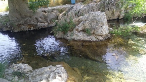 Тамды туралы толғам