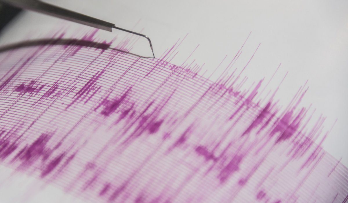 Шымкент пен Тараз қаласында 2 балдық жер сілкінісі болды