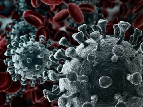 «Қарағандыда карантин жариялауға негіз жоқ»