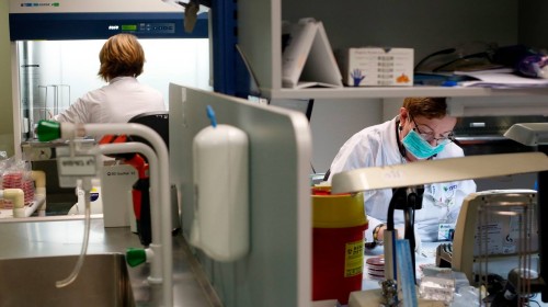 Әлем жаңа дәріні жарыса іздеуде