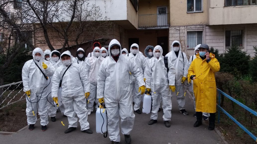 Мамандар: Иттер мен көгершіндердің өліміне дезинфекциялау жұмыстарының қатысы жоқ