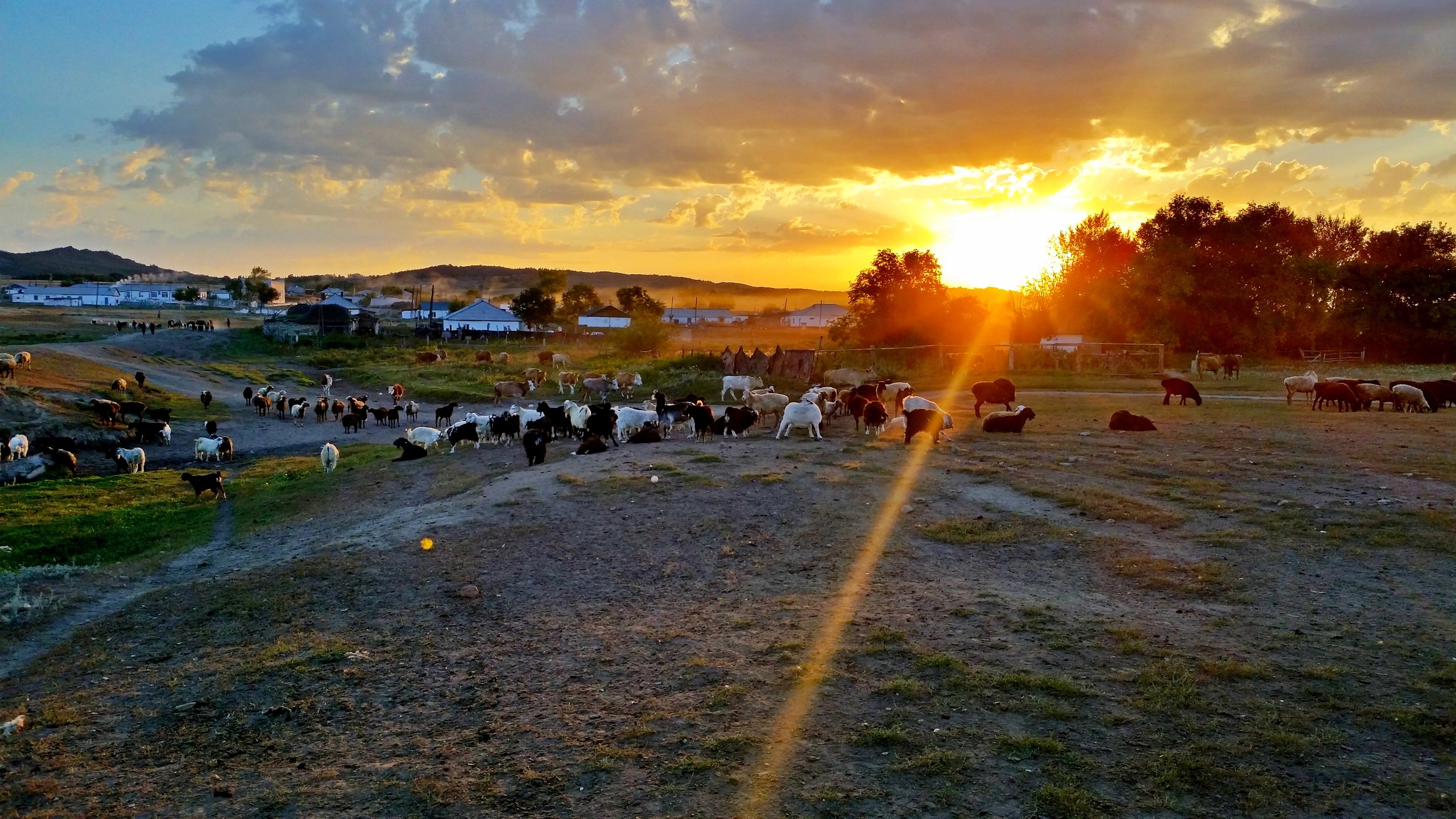 Павлодар облысында 14 ауылды интернетке қосуға мүмкіндік жоқ