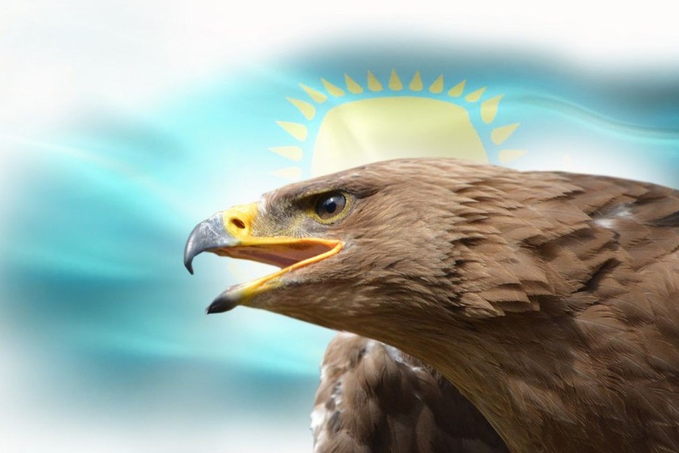 Қаратауды аңсаған қыран