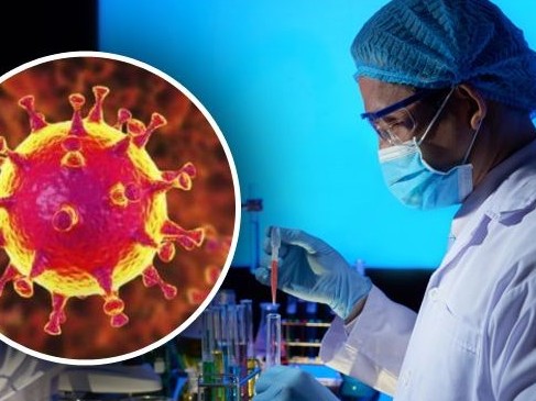 COVID-19: Індет жұқтырғандар саны 525-ке жетті