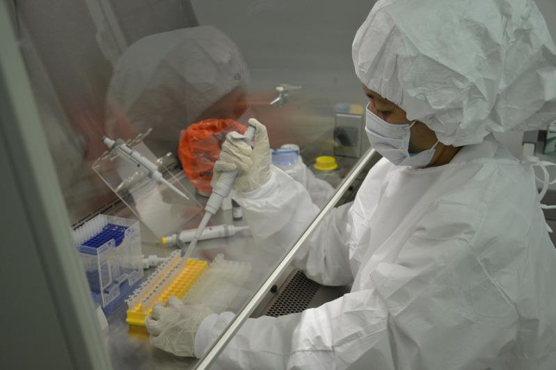 Коронавирусқа қарсы вакцинаны әзірлеу тәулік бойы жүріп жатыр